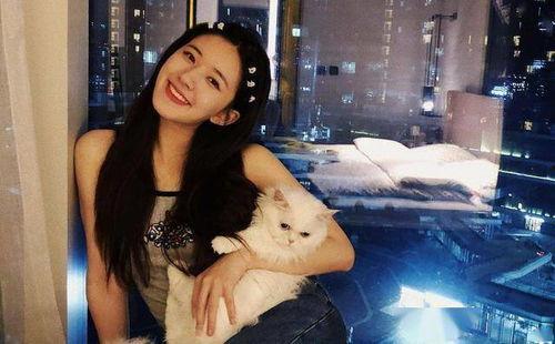 赵露思近况最新消息 爆料王 暗黑爆料最新视频更新,暗黑爆料王最新视频曝光惊人内幕