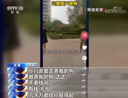 社会热点事件视频,XX事件深度解析